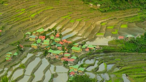 Ifugaos - Menschen der Erde: Reisanbau auf den Philippinen