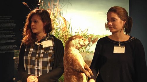 MNSTR.TV: "Wasser bewegt"-Ausstellung, "Budenzauber", Weihnachtsmarkt Münster