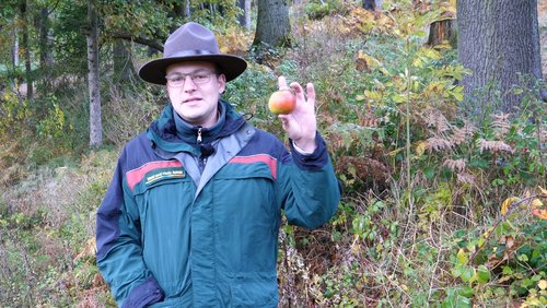 Die Ranger Story: Ausgerechnet Bananen! - Obst richtig entsorgen