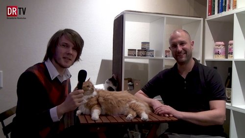 Start-Ups in Düsseldorf: Catz Cafe - Katzencafé