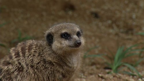 NRW-Zoo-Check: Tierpark Fauna in Solingen