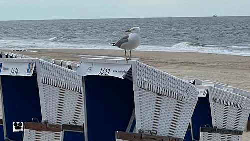 Lieblingsort auf der Insel Sylt