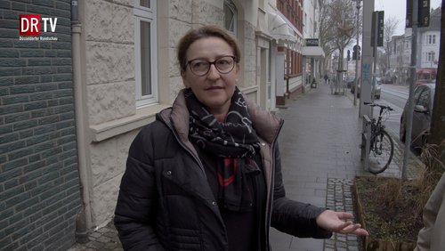 Pflanzen an der Benderstraße in Düsseldorf