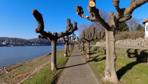 WanderBlog: Rotbäckchen-Rundwanderweg bei Unkel