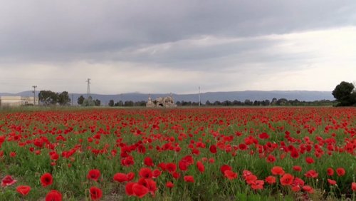 Frühling im Gargano, Italien - Teil 2