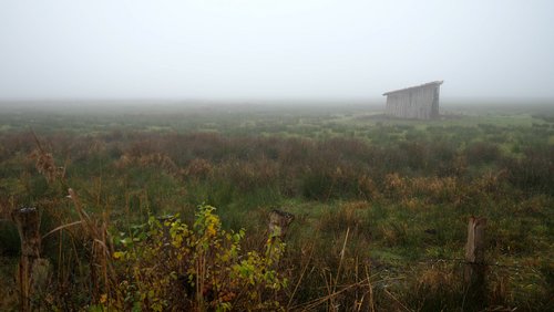 Mark geht wandern: Rieselfelder im Nebel