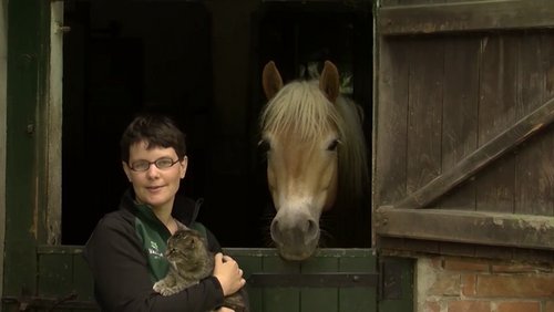 TV-Clips: Bio-Bauernhof, Integrative Musikschule, Lehrer-Klischees