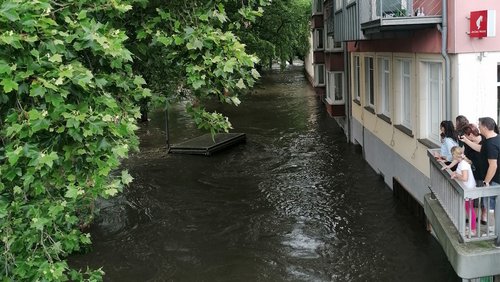 Umweltschutz-Initiativen in Essen-Werden