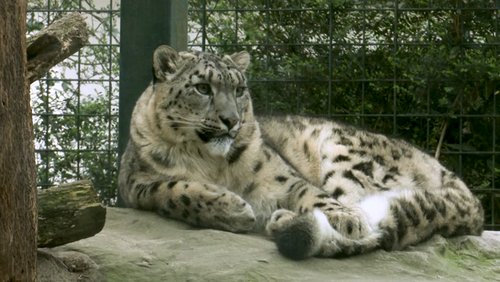 NRW-Zoo-Check: Zoo Krefeld