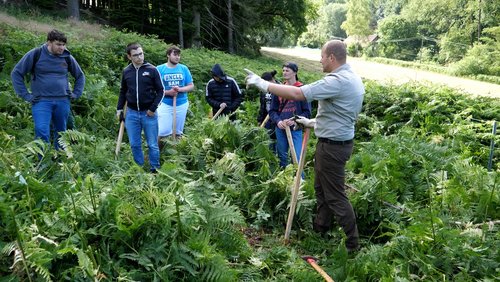 Die Ranger Story: Schulwald-Pflege