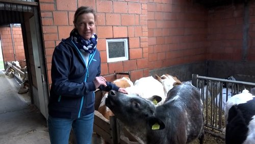 SÄLZER.TV: Landwirtschaft heute (Teil 1), Bibliothek liefert mit Fahrrad, Möwen in Salzkotten