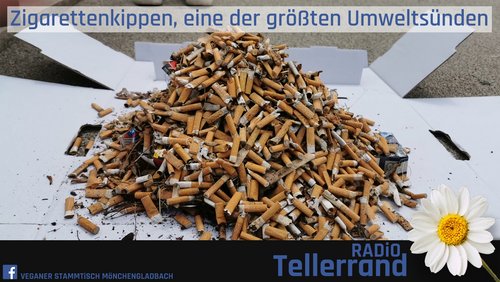 Tellerrand: Zigarettenkippen, ein weltweites Sondermüllproblem
