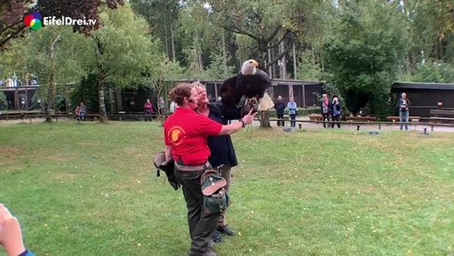 Tierisch EifelDrei.TV: Greifvogelstation Hellenthal - Folge 3: Nur Fliegen ist schöner