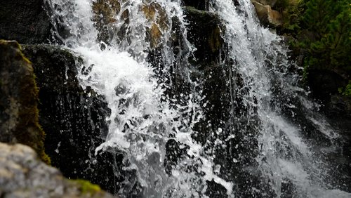 Mark geht wandern: Grugapark - Botanischer Garten in Essen