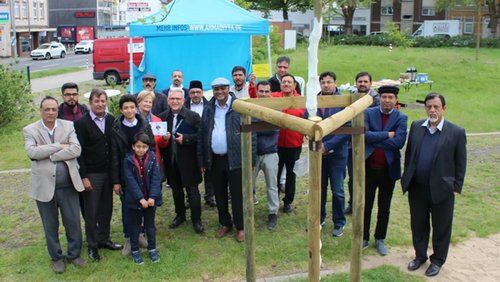 BergTV: Baumpflanzung in Bergisch Gladbach