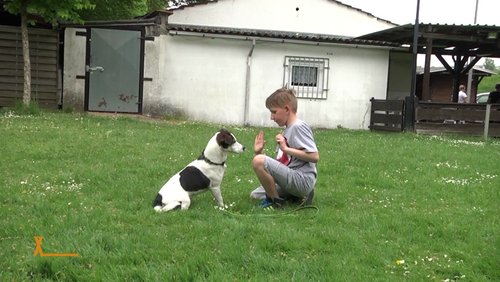 BiTSXclusive: Hunde-Projekt für Schüler, Geocaching-Event