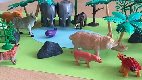 Jungle Adventure - Stop-Motion-Video