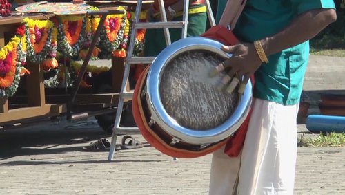 African Voices: Freiberufler mit afrikanischen Wurzeln