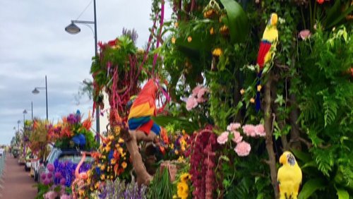 Senfpott: Blumenkorso in Noordwijk 2018