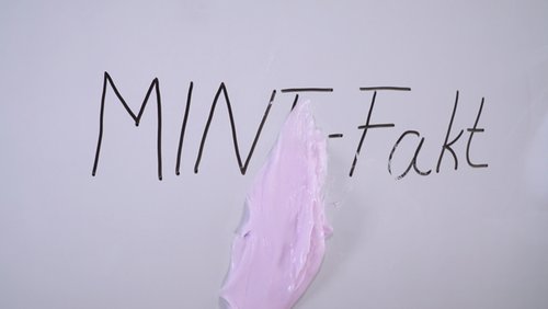 MINT-Fakt: DIY Slime – Schleim selber machen