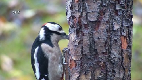 Natur sehen – Natur erleben