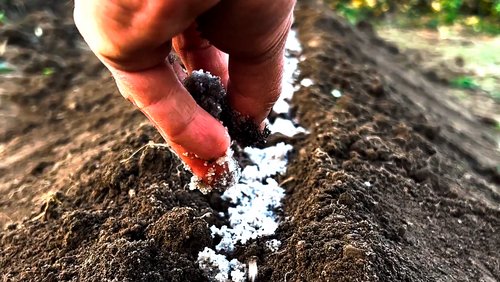 Wasser marsch! Garten- und Tapezierarbeit