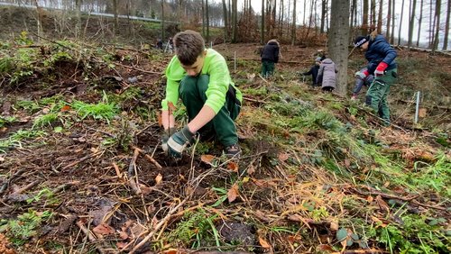 Die Ranger Story: Pflanztag im Bielefelder Schulwald