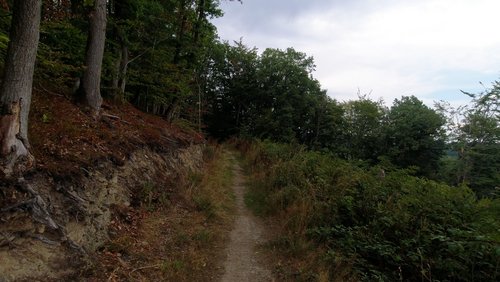 WanderBlog: Abenteuertour an der Lenne - Wanderweg durch das Sauerland