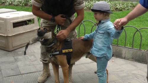 Ermittler auf vier Pfoten – Polizeihunde-Vorführung in Las Palmas, Gran Canaria