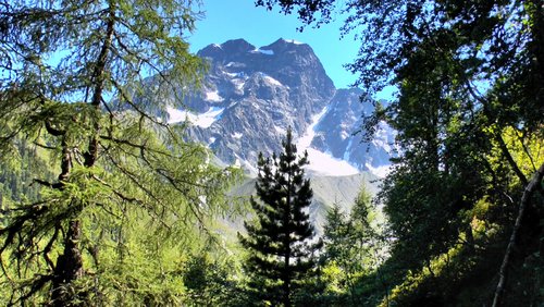 Wanderschönes Pitztal: Bio-Hotel Stillebach in Österreich