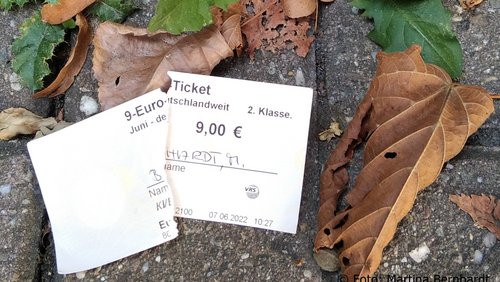 Welle-Rhein-Erft: Mit dem 9-Euro-Ticket durch Deutschland