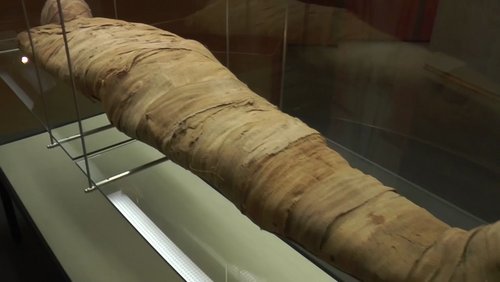 MNSTR.TV: Mumie im Archäologischen Museum, Schülermesse "vocatium"