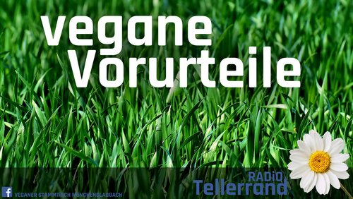 Tellerrand: Vorurteile gegenüber Veganer*innen