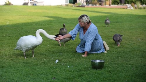 Sandra Swart, Wildtierhilfe NRW in Moers-Kapellen