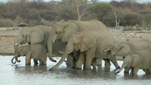 4550 Kilometer durch Namibia