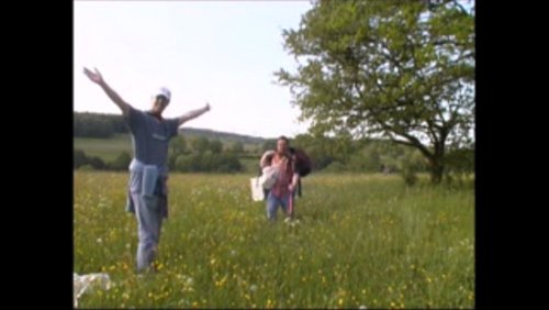 Wald und Natur erleben und begreifen