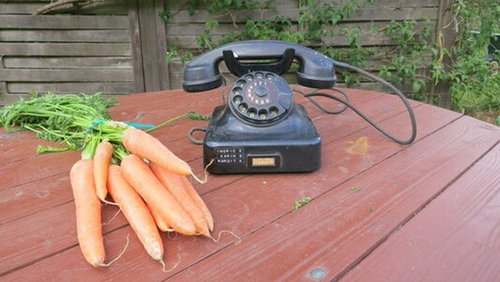 Radio Graswurzelrevolution: Solidarische Landwirtschaft