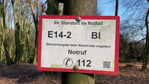 Die Ranger Story: Rettungspunkte im Wald