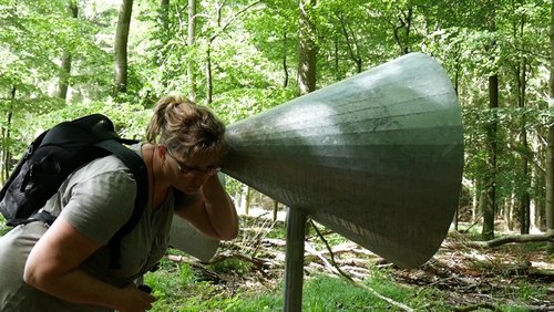 Ausflugstipp: Wilder Weg im Nationalpark Eifel