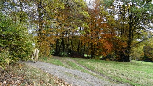 Radio Hauhechel: Vorfahrt für Radfahrer in Iserlohn, Lernrückstand, Selbstfahrende Autos