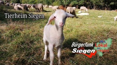 Sendungen aus Siegen | NRWision
