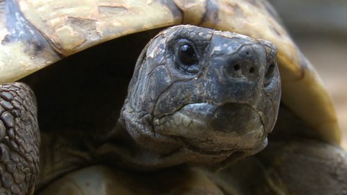 NRW-Zoo-Check: Tierpark Recklinghausen