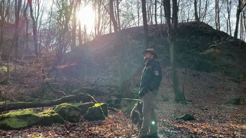 Die Ranger Story: Brutzeit im Halleluja-Steinbruch Bielefeld – Kletterer müssen pausieren