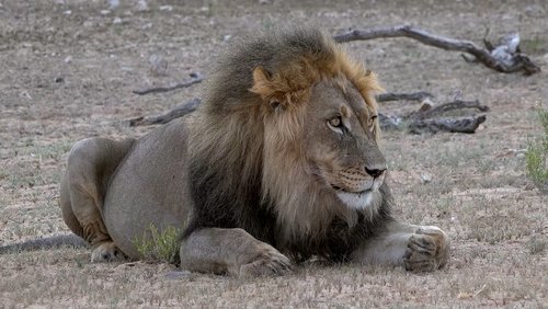 Namibia-Cocktail mit einem Schuss Südafrika - Teil 1