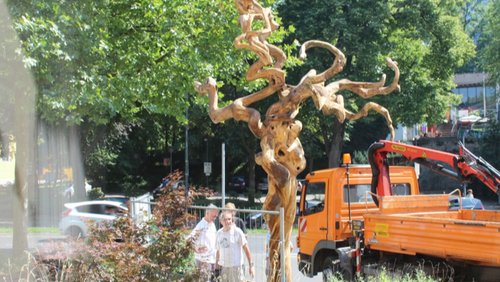 BergTV: Hängeschnurbaum-Skulptur in Bergisch Gladbach - Teil 2
