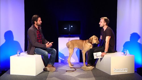 Im Profil: Mustafa Irmak, Hundetrainer "Positive-Dog Academy" in Bad Salzuflen