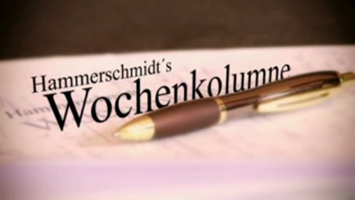 Hammerschmidts Wochenkolumne: Linkspartei, Volker Kauder, Will Smith