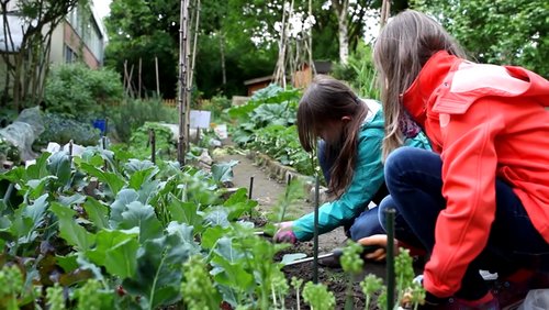 Ökoplosiv: Vegan leben, Natur-Grundschule, Bilderrätsel