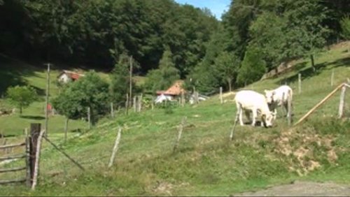 Kurze Auszeit in den Südvogesen - Teil 3