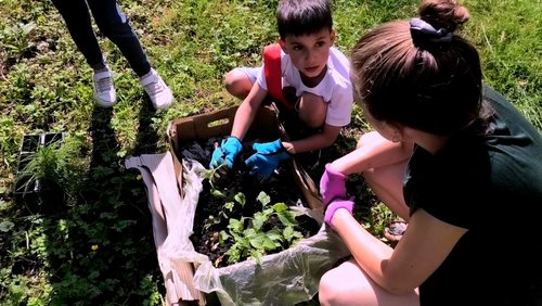 NetzLichter-TV: Umfrage zum Coronavirus, Spielmobil "Trolli" – Gartenprojekt